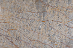 Marbre - Gris Oro