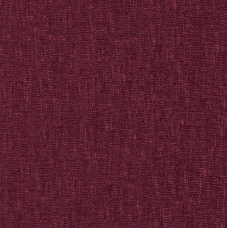 Coton - Prune
