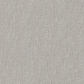 Coton - Colombe