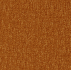 Coton - Camel