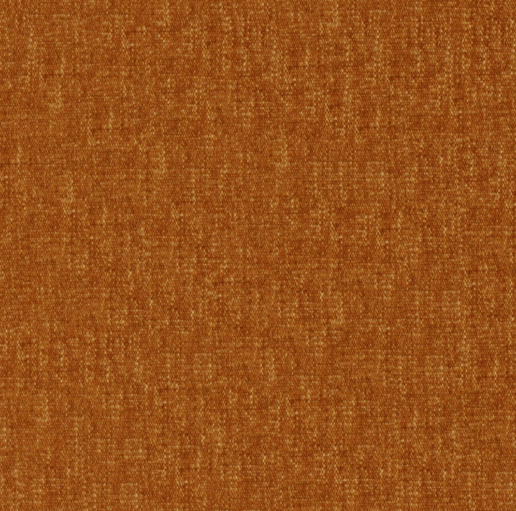 Coton - Camel