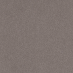 Velours - Taupe